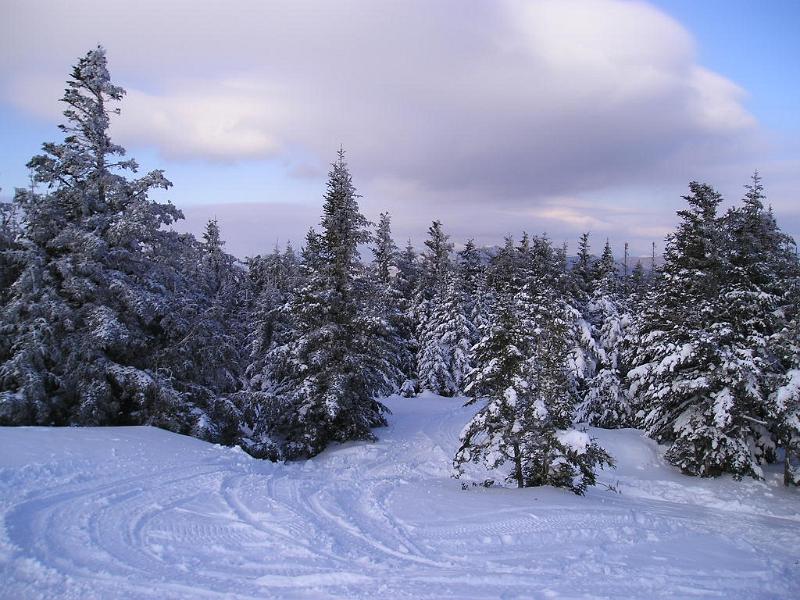 Stinson (13).JPG - The snowmobilers have an easy ride to the top, but they miss out on the quiet solitude of the mountain.